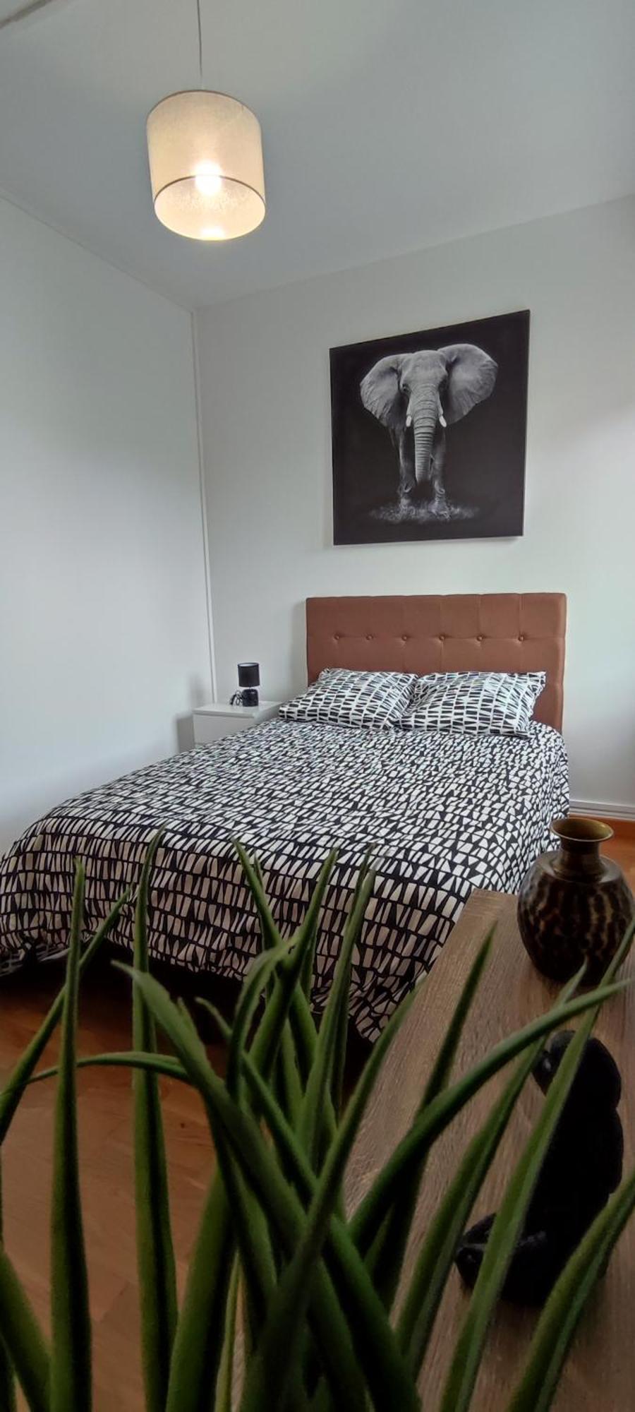 Maison Charmante Avec Patio ! Μπουρζ Εξωτερικό φωτογραφία